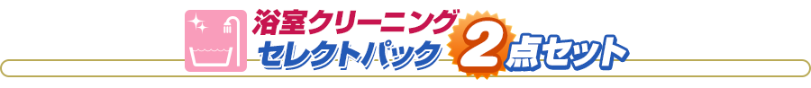 浴室クリーニング セレクトパック2点セット